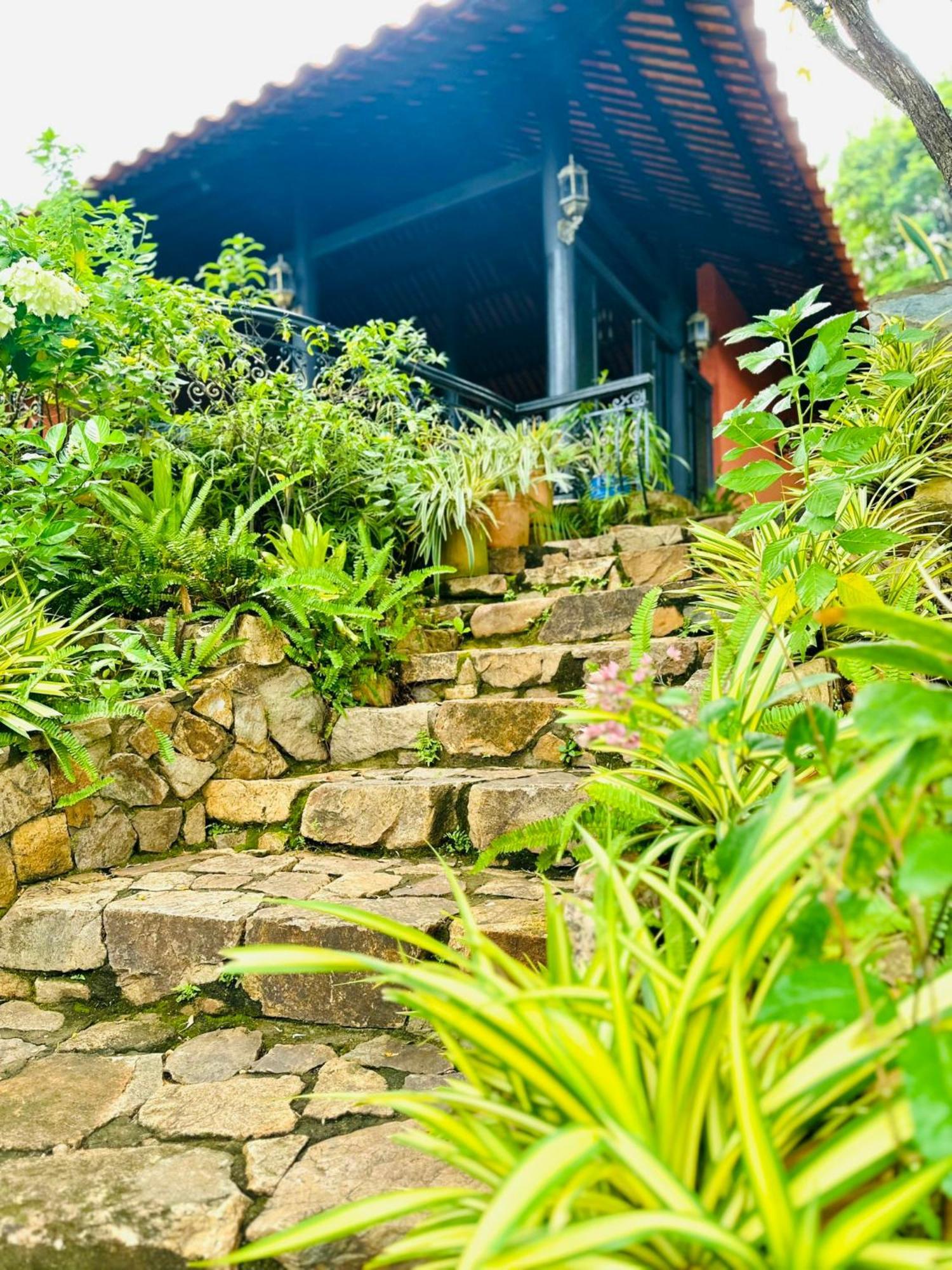 Binh An Village Vung Tau Kültér fotó